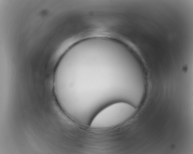 X0000114401415200910161045