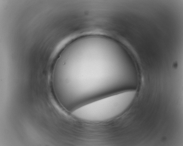 X0000114401416200910161045