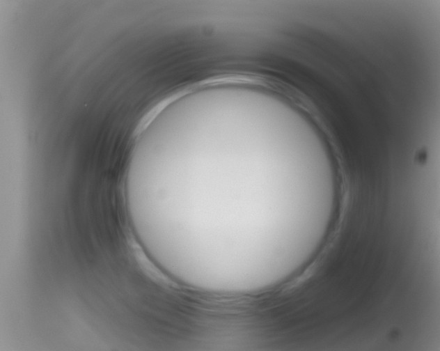 X0000114401417200910161045