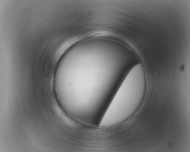 X0000114401418200910161045