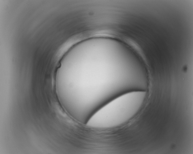 X0000114401419200910161045