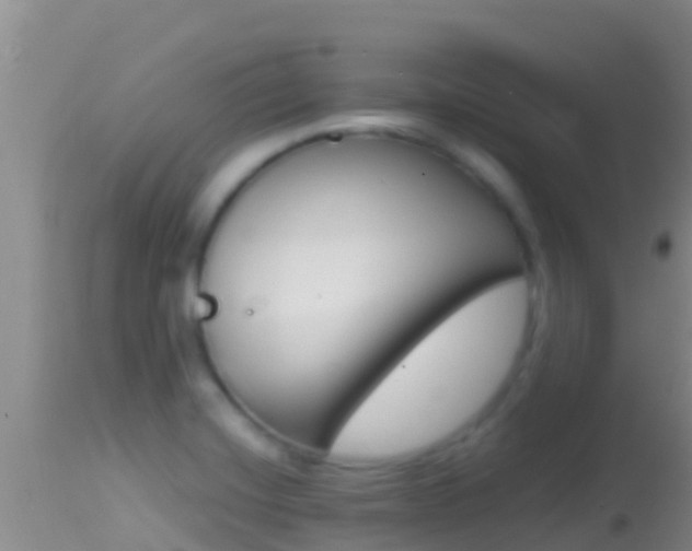 X0000114401420200910161045