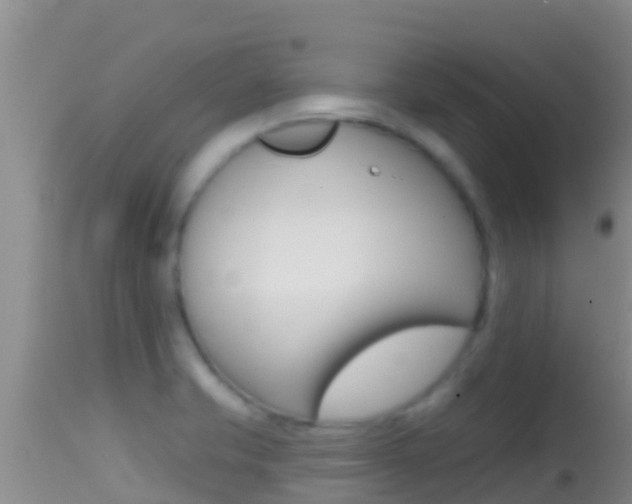 X0000114401421200910161045