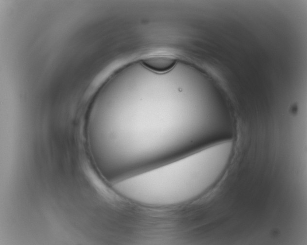 X0000114401422200910161045
