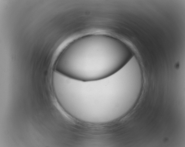 X0000114401424200910161045