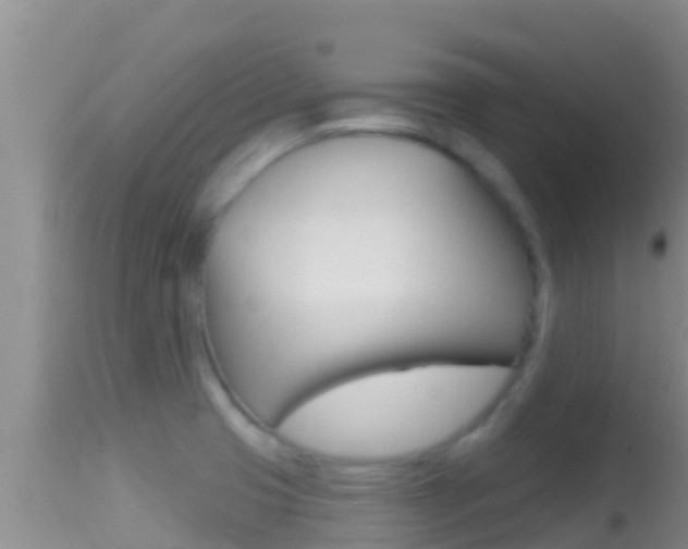 X0000114401425200910161045