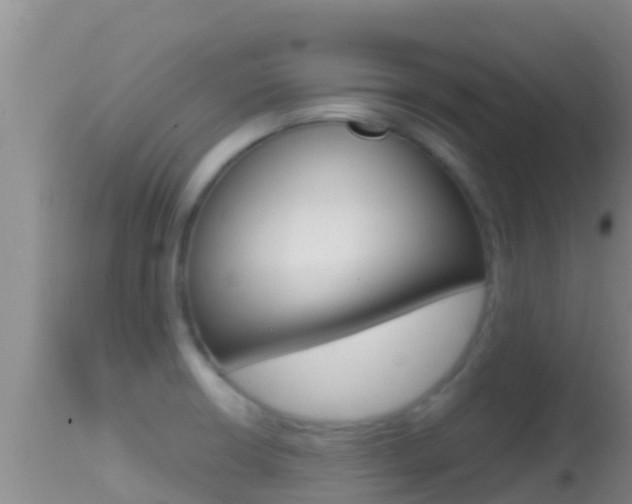 X0000114401426200910161045