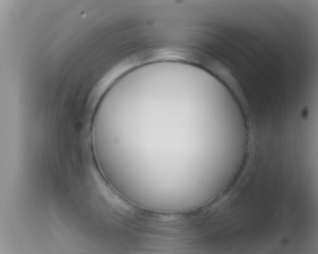 X0000114401427200910161045