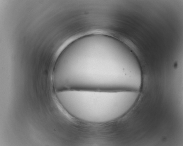 X0000114401428200910161045