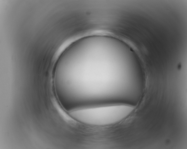 X0000114401430200910161045