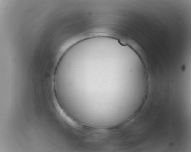 X0000114401431200910161045