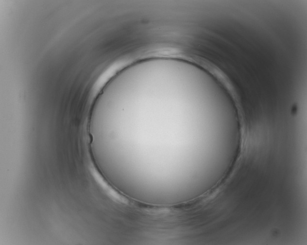 X0000114401432200910161045