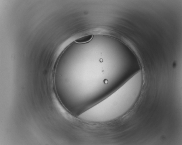 X0000114401434200910161045