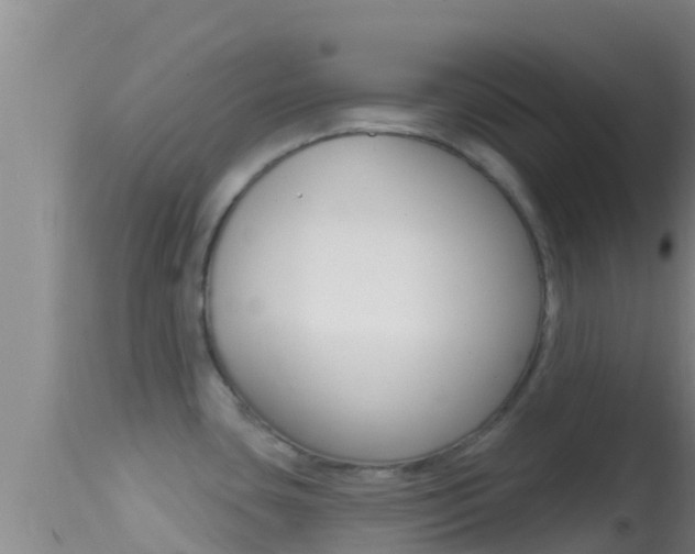 X0000114401435200910161045