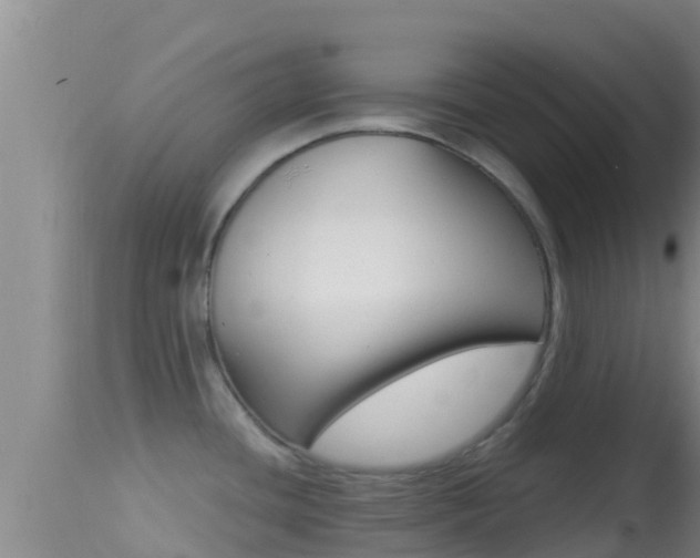 X0000114401436200910161045