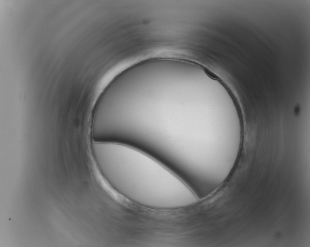 X0000114401437200910161045