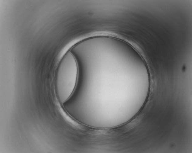 X0000114401438200910161045
