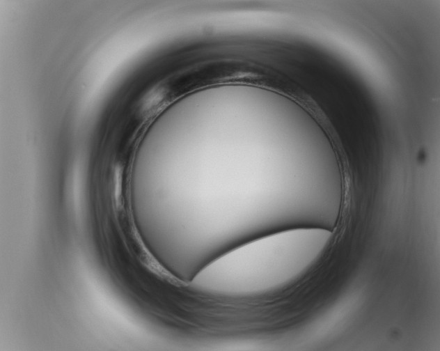 X0000114401439200910161045