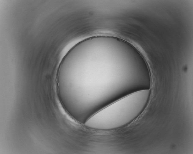 X0000114401440200910161045