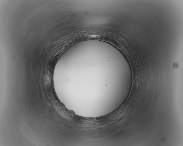 X0000114401442200910161044