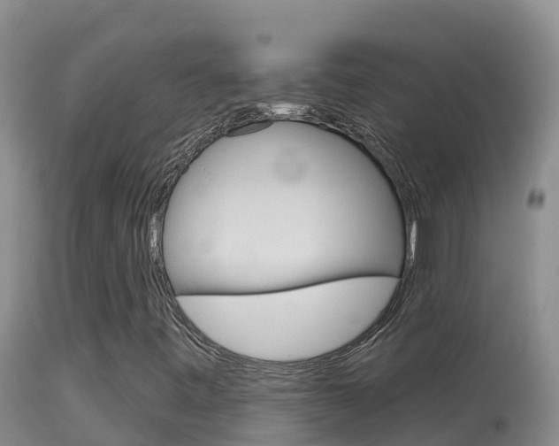 X0000114401443200910161044