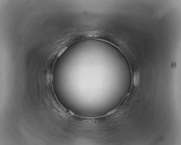 X0000114401444200910161044