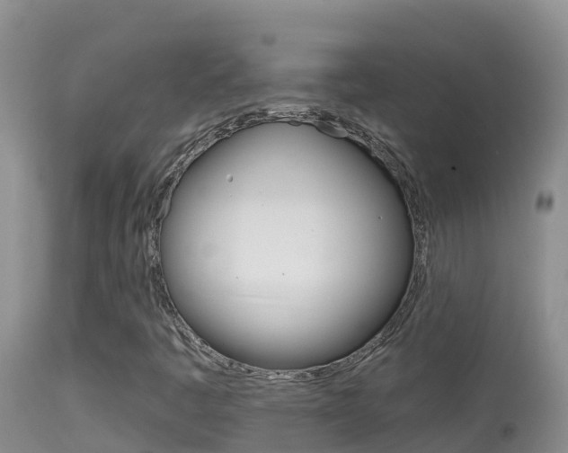 X0000114401445200910161044
