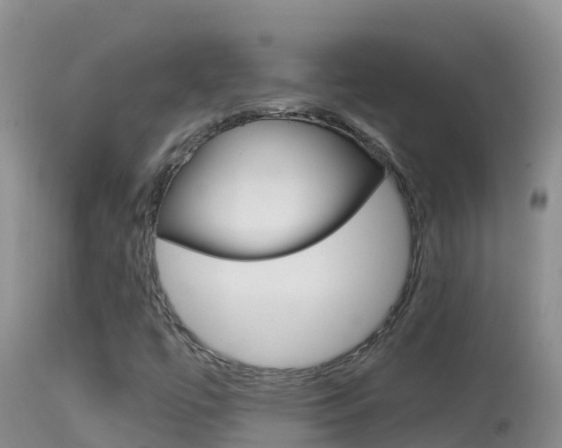 X0000114401447200910161044