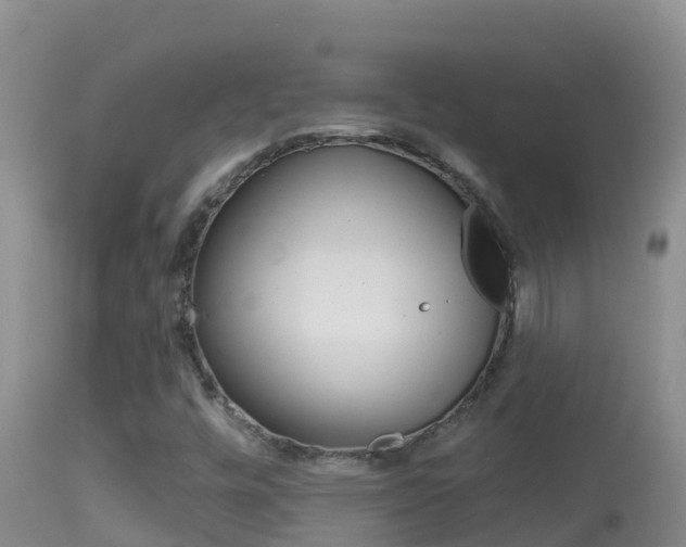 X0000114401448200910161044