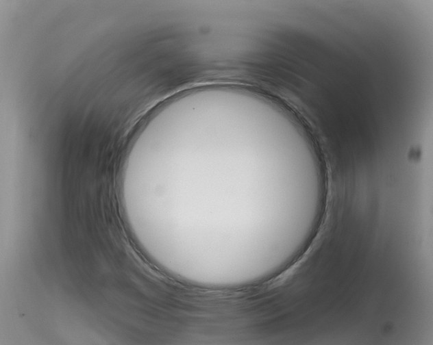 X0000114401449200910161044