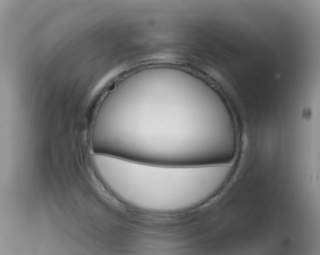 X0000114401450200910161044