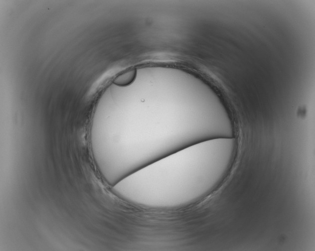 X0000114401451200910161044