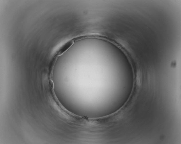 X0000114401452200910161044