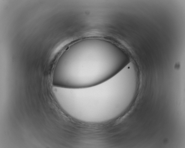 X0000114401453200910161044
