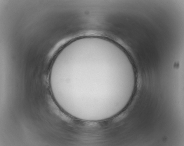 X0000114401454200910161044