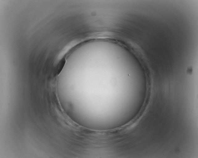 X0000114401457200910161044