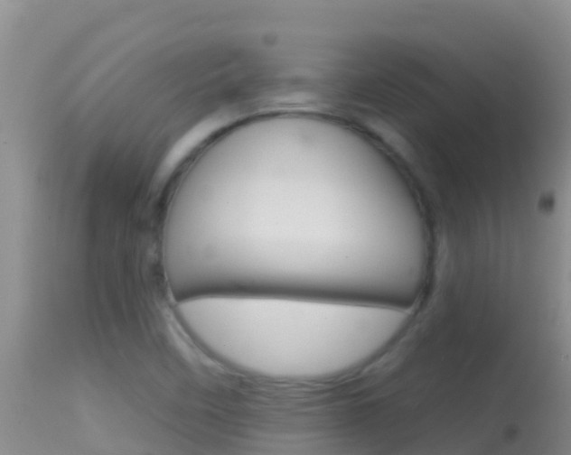 X0000114401458200910161044