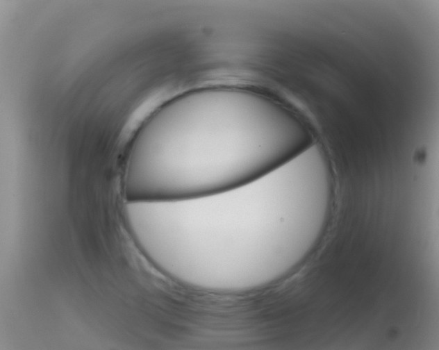 X0000114401459200910161044