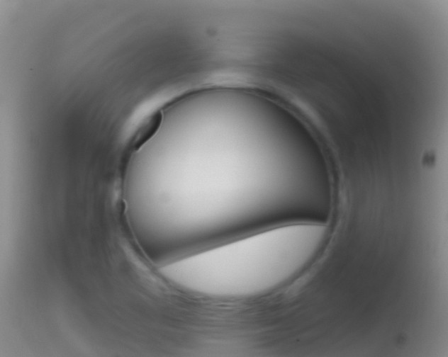 X0000114401461200910161044