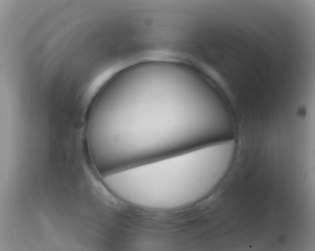 X0000114401463200910161044