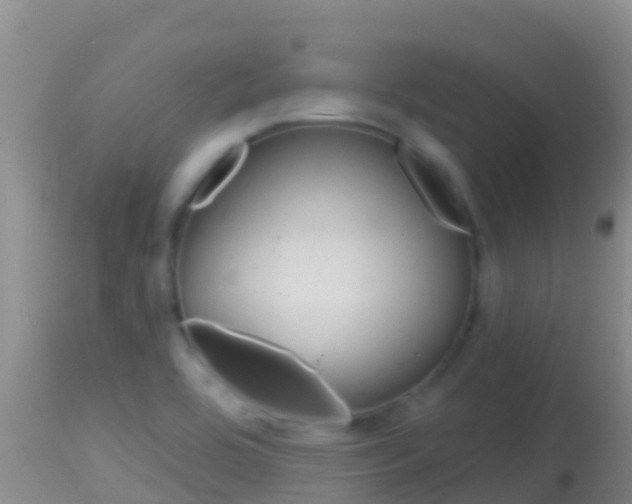 X0000114401464200910161044