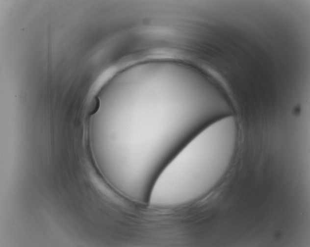 X0000114401467200910161044