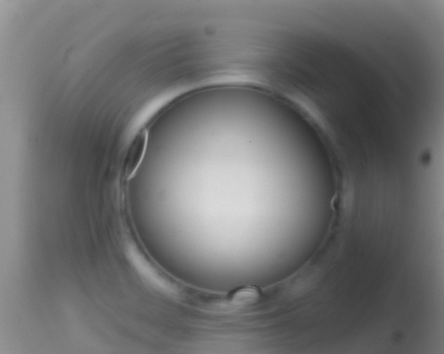 X0000114401468200910161044