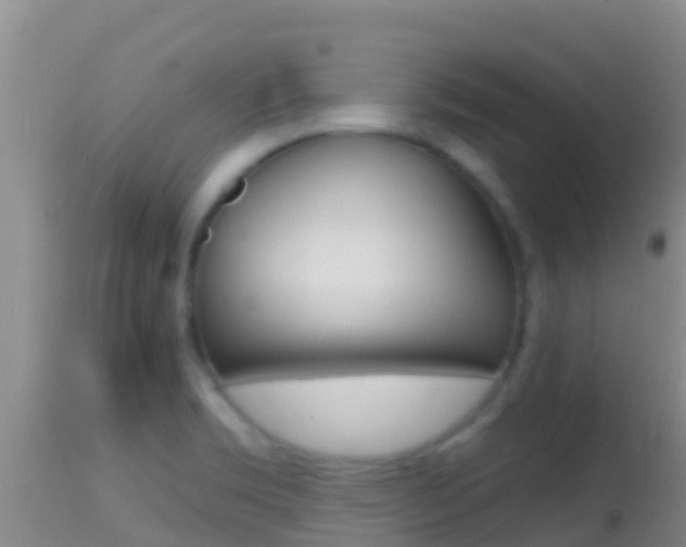 X0000114401469200910161044