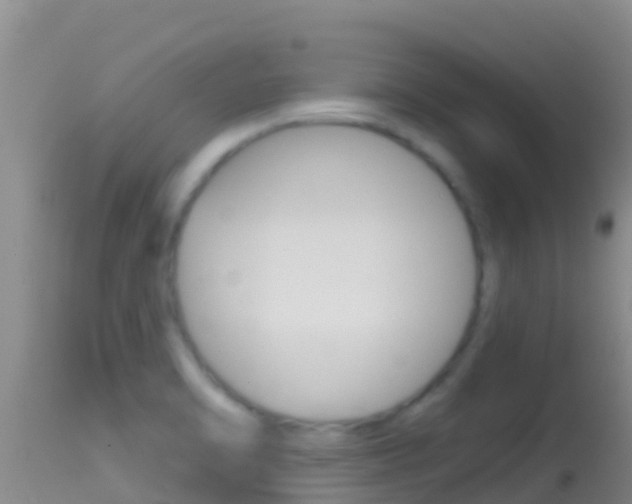 X0000114401470200910161044