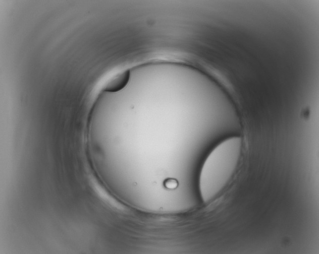 X0000114401471200910161044
