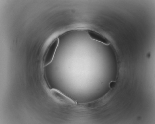 X0000114401472200910161044