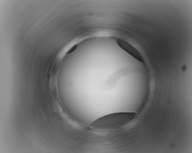 X0000114401473200910161044