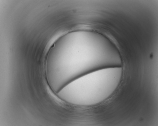 X0000114401475200910161044