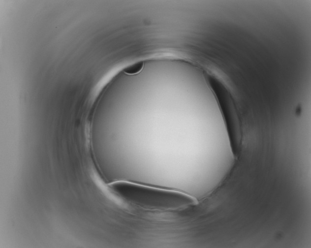 X0000114401476200910161044
